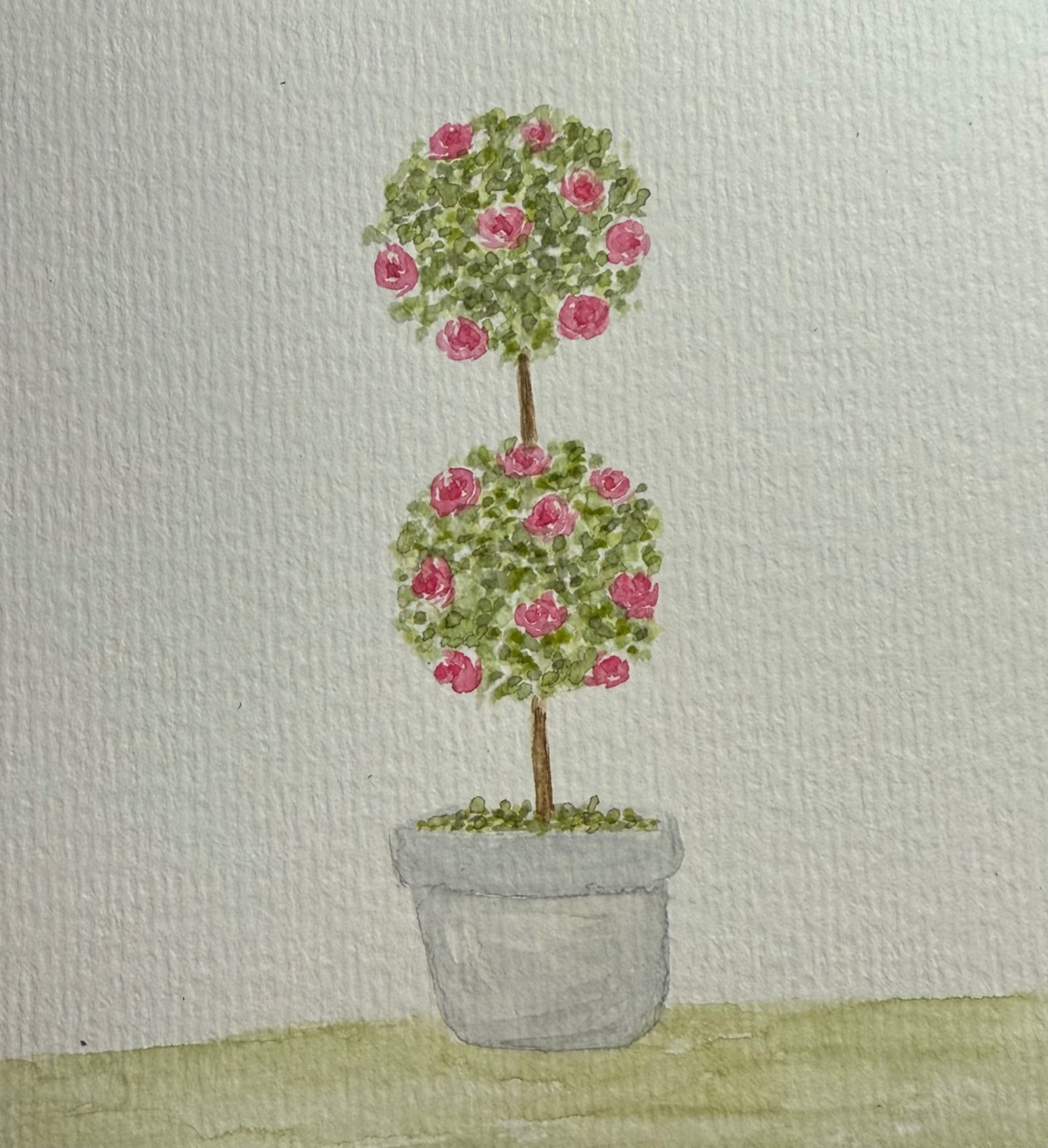 Two flowering topiary spheres in a gray pot