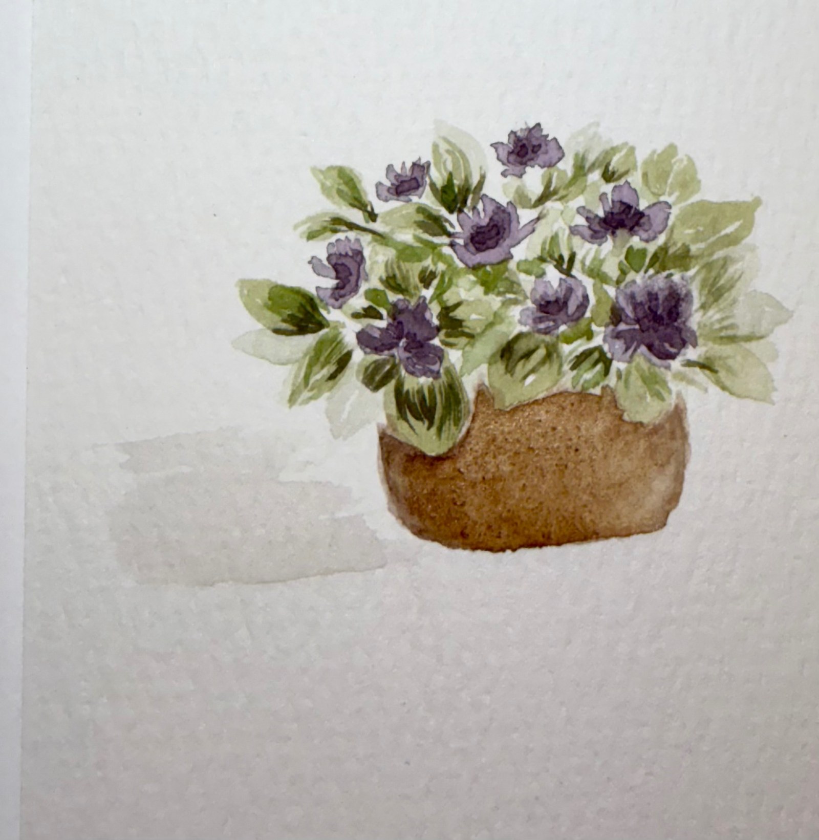 Purple flowers and green leaves in a brown pot